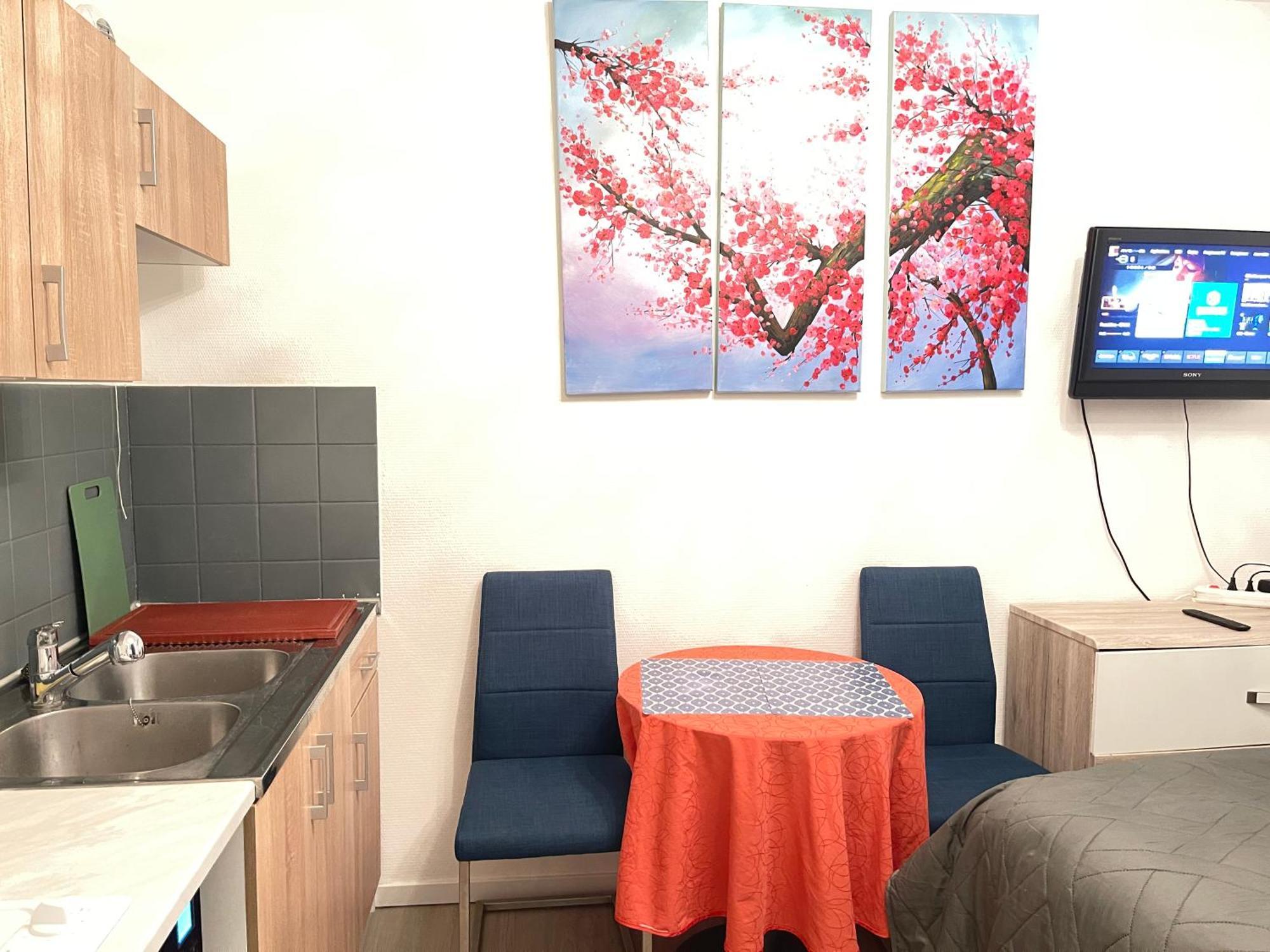 Top Studio Full Optional Saint Louis Vicino Stazione Saint Louis 68300 France Eksteriør bilde
