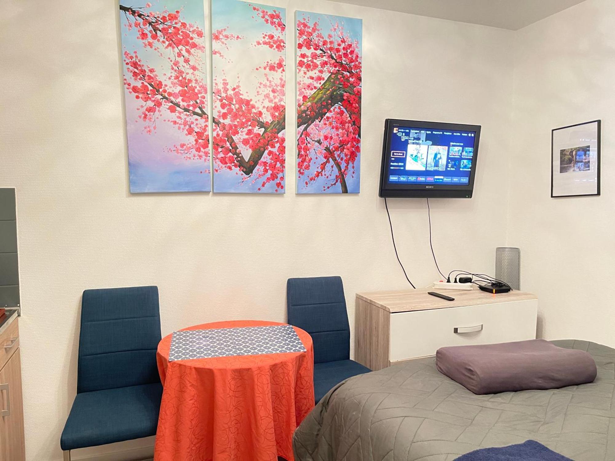 Top Studio Full Optional Saint Louis Vicino Stazione Saint Louis 68300 France Eksteriør bilde