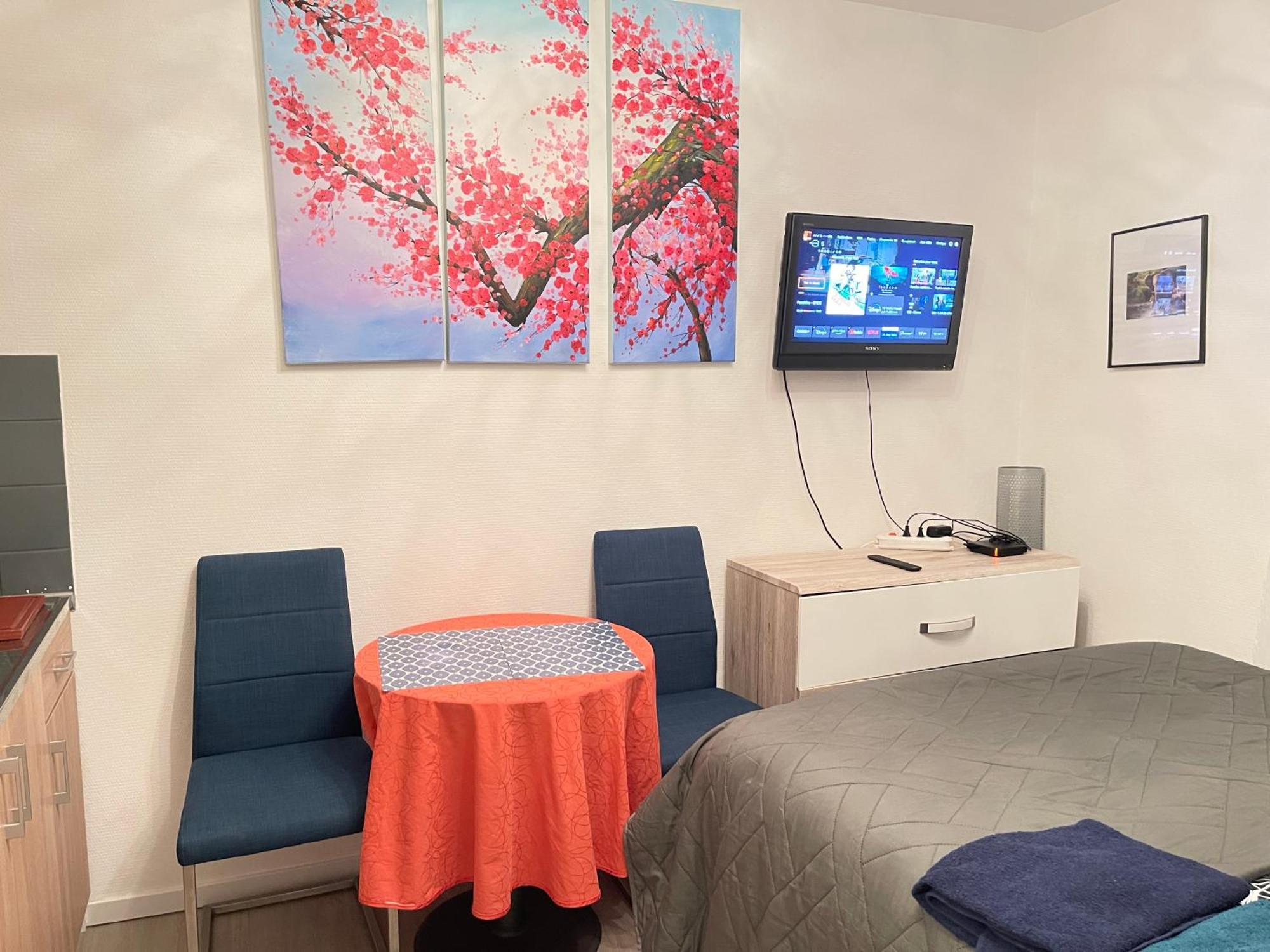 Top Studio Full Optional Saint Louis Vicino Stazione Saint Louis 68300 France Eksteriør bilde